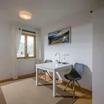 Haus Bauer Appartement *