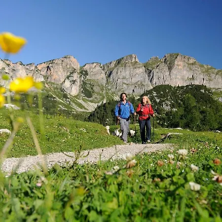 Appartement Haus Bauer Pertisau